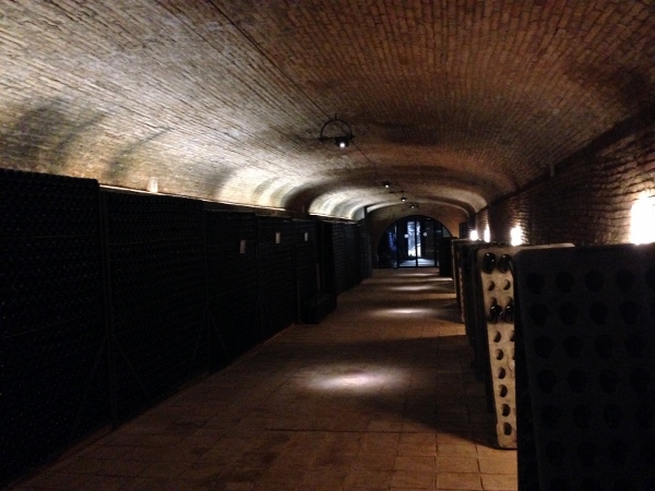 Visita_bloggers_celler_jaume_codorniu_sala_crianza